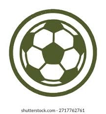 日本足协主席：计划申办2046年世界杯，明年目标是世界杯八强