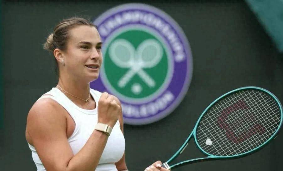 如果能够正 如果能够正