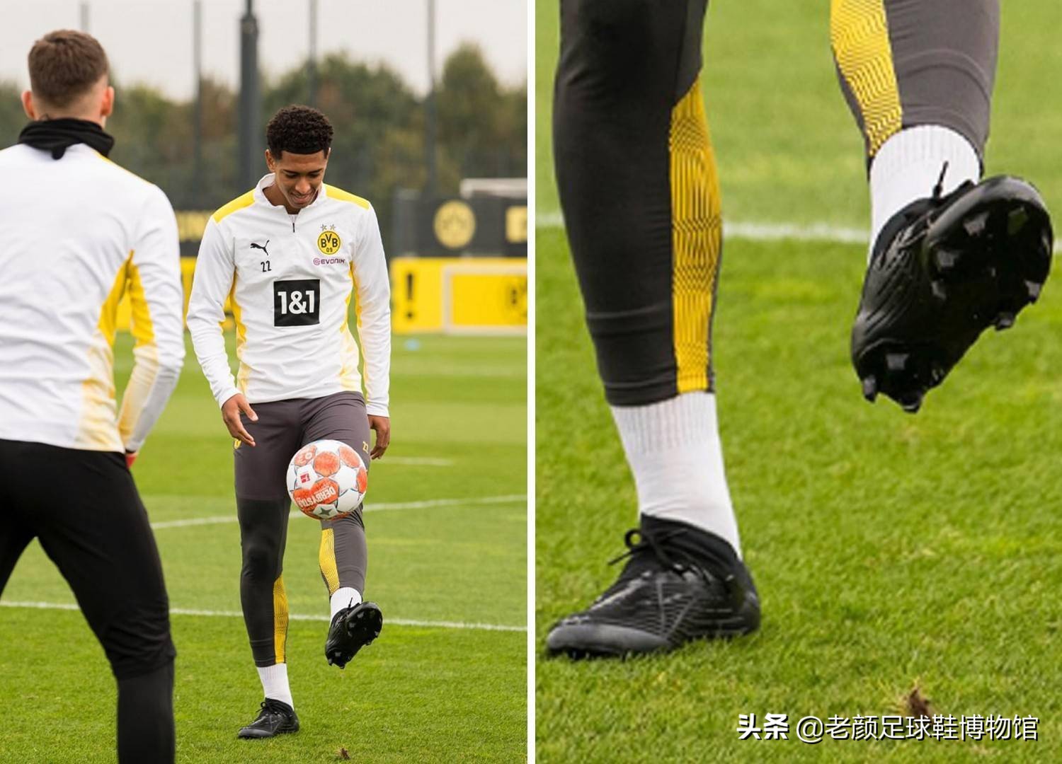 的判断能力 的判断能力